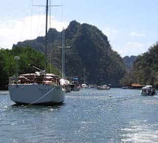 Bootsfahrt zum Mangroven