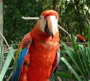 Vogelpark Xaman
