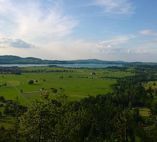 Forggensee
