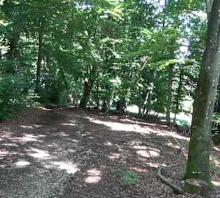 Naturerlebnispfad Sternberg