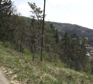 Waldlehrpfad an der Lauter