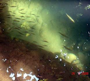 Krka-Nationalpark Bild 4