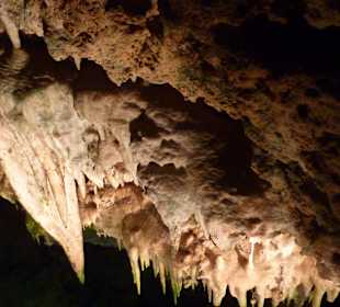 Hams Höhlen Porto Cristo