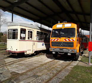 Einige schöne Exponate