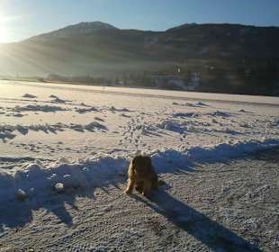 Spazierwege auf dem Pressegger See
