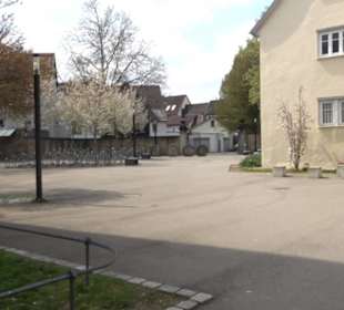 Freihof