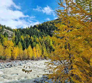 Herbst am Morteratsch