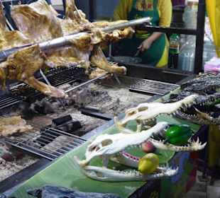 Leckerbissen, Krokodil