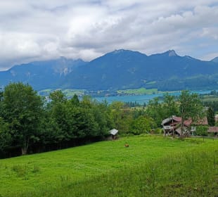 Wolfgangsee bei Strobl