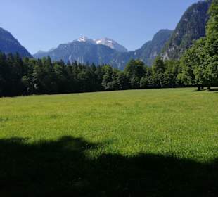 Natur Pur