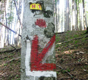 Hirschberg