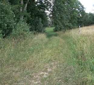 Burgruine Blankenstein