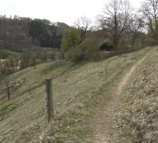 Burgruine Hohenhundersingen