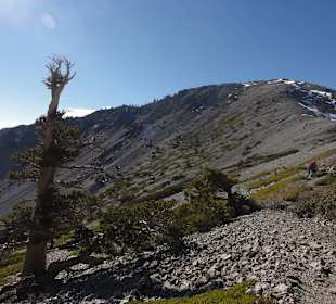 Горы Сан-Габриэль