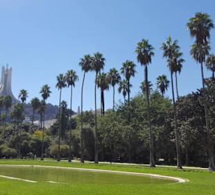 Jardin d'Essai du Hamma