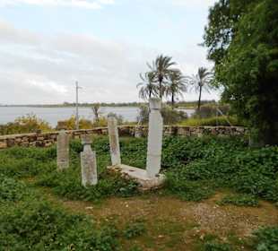 Hala Sultan Tekke Moschee