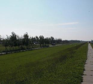 Deichwanderung Fedderwardersiel - Burhave