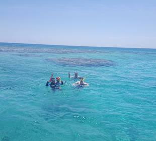 Schnorcheln - Karibikfeeling in Hurghada