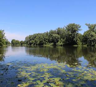 Pałac i ogród w Wilanowie