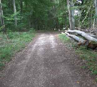 Tour entlang der Traifelbergfelsen