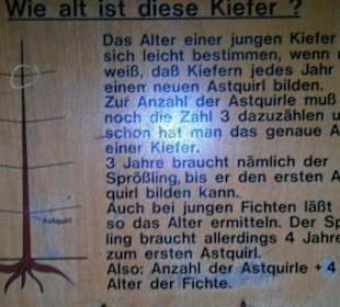 Tafeln im Wald Beschreibung