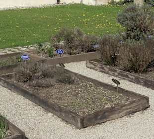 Kräutergarten Blaubeuren