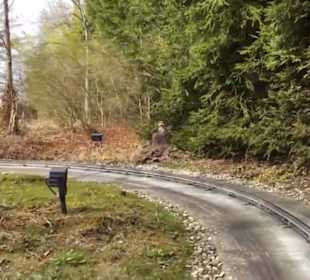 Land der Abenteuer - Safari Tour