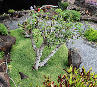 Von Manrique angelegter Garten