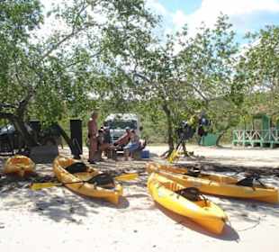 Kurz vor der Abfahrt zu den Manatis