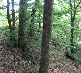 Tour entlang der Traifelbergfelsen