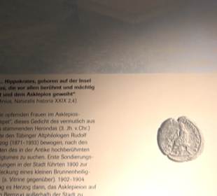 Museum Alte Kulturen