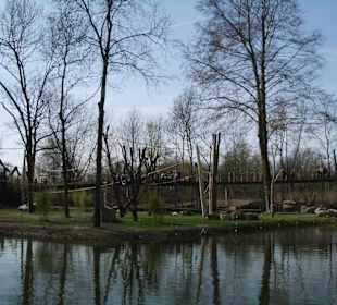 Großzügige Anlagen