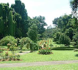 Botanischer Garten