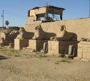 Karnak Komplex, im Tempel Mut