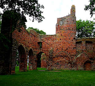 Klosterruine Eldena