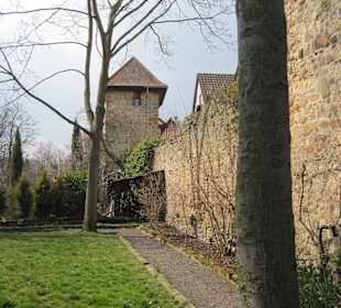 Stadtmauer