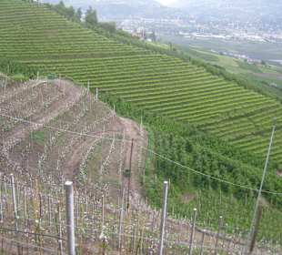 Marlinger Waalweg