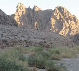 Quad  fahren und die Berge in der Wüste bewundern.