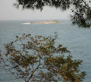 Blick auf die Schildkröteninsel