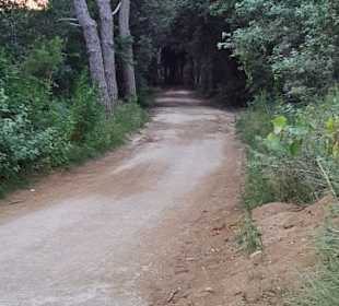 Hier geht es weiter FKK u. Hafen