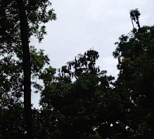 Impressionen aus Bali