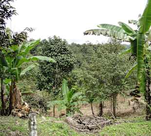 Ausflug Wildlife Expeditions