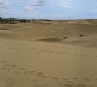 Dünen von Maspalomas