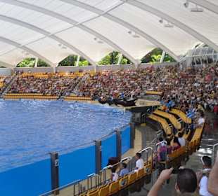 Die Leute waren begeistert