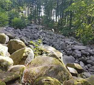 Felsenmeer 