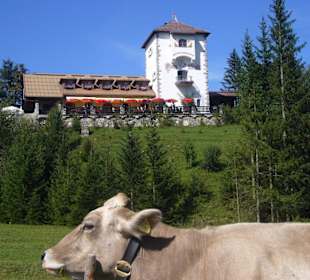 Blick auf die Burgschenke