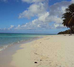 Isla Saona