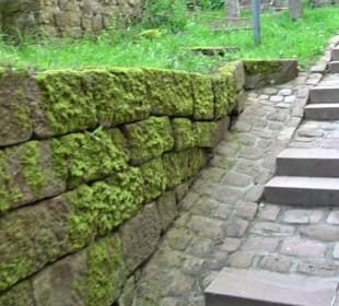 Altes Schloss Altensteig