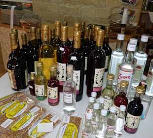 Ausflug in das Troodos Gebirge