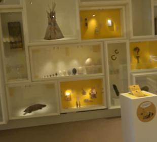 Museum Natur und Mensch